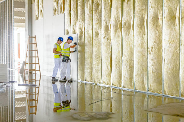 Best Eco-Friendly Insulation in Maryland Heights, MO